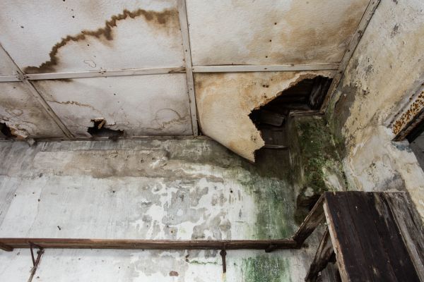 Water Damage Service in Kent