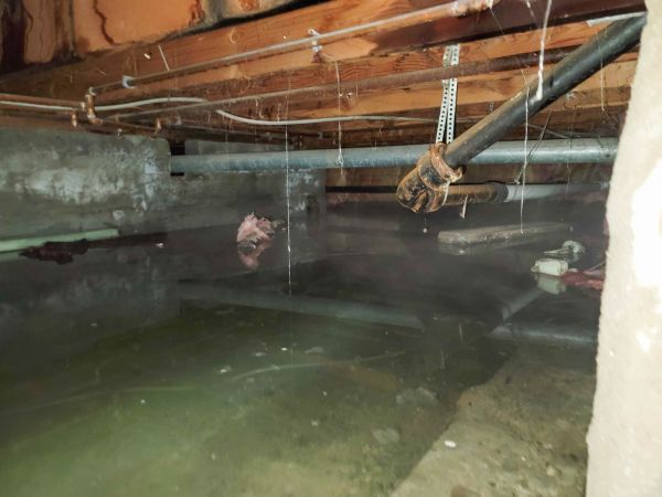 Crawl Space Drying in Kent