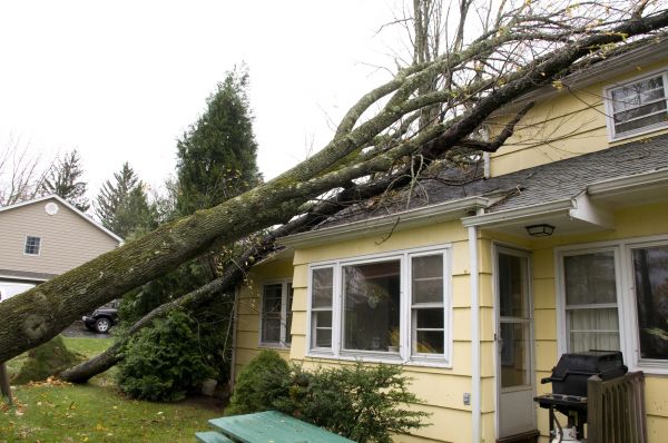 Hurricane Damage Repair in Kent